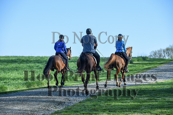 ChesapeakeSpring(4-18-21)0139
