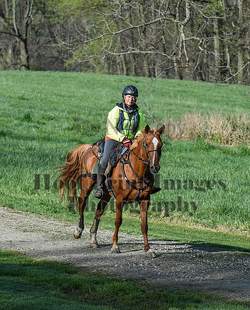ChesapeakeSpring(4-18-21)0159