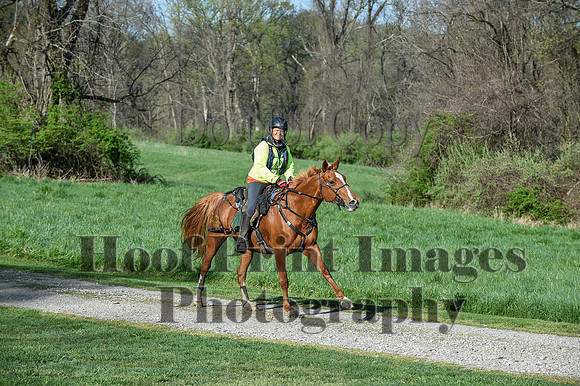 ChesapeakeSpring(4-18-21)0163