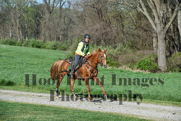 ChesapeakeSpring(4-18-21)0164
