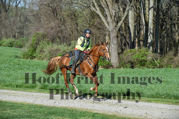 ChesapeakeSpring(4-18-21)0165