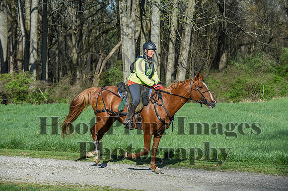 ChesapeakeSpring(4-18-21)0167