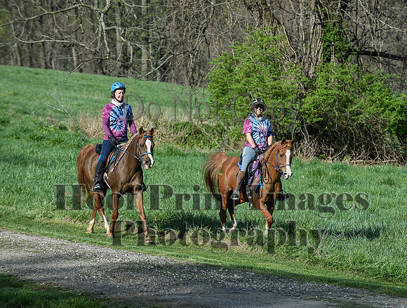 ChesapeakeSpring(4-18-21)0172