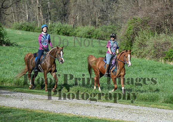 ChesapeakeSpring(4-18-21)0177