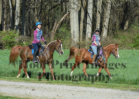 ChesapeakeSpring(4-18-21)0182