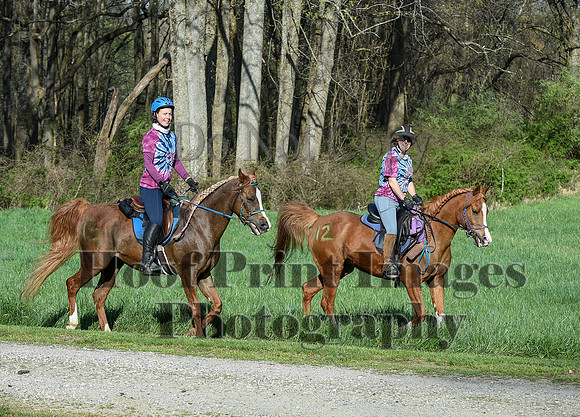 ChesapeakeSpring(4-18-21)0184