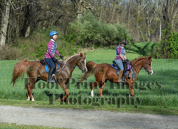 ChesapeakeSpring(4-18-21)0185