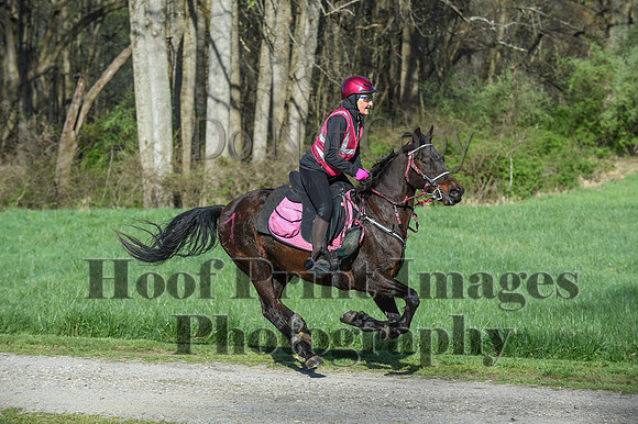 ChesapeakeSpring(4-18-21)0211