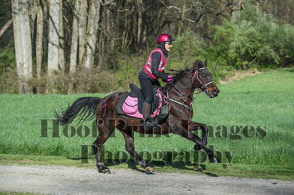 ChesapeakeSpring(4-18-21)0212