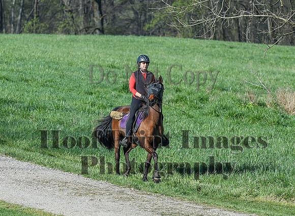 ChesapeakeSpring(4-18-21)0214