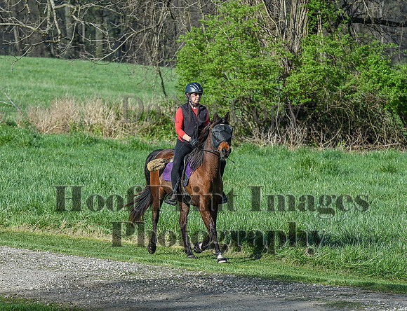 ChesapeakeSpring(4-18-21)0216