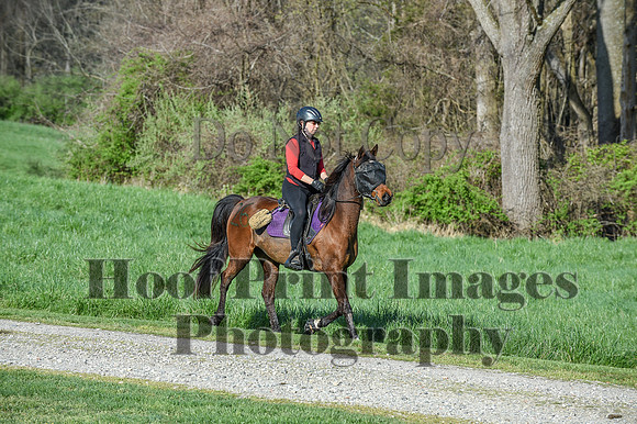 ChesapeakeSpring(4-18-21)0219