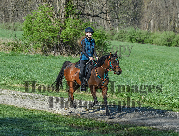 ChesapeakeSpring(4-18-21)0231