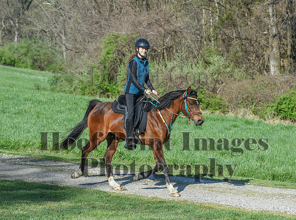 ChesapeakeSpring(4-18-21)0235