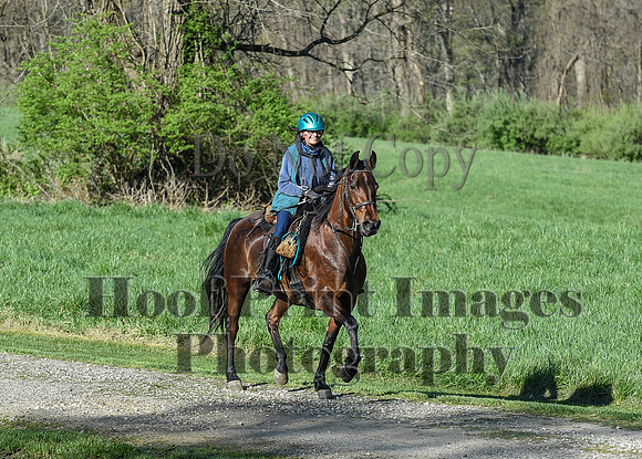 ChesapeakeSpring(4-18-21)0242