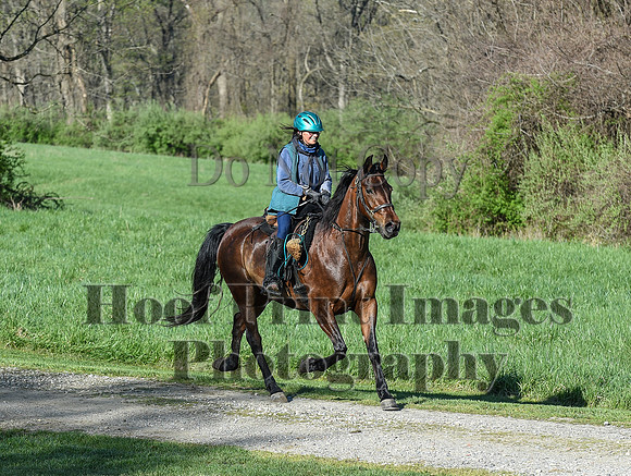 ChesapeakeSpring(4-18-21)0245