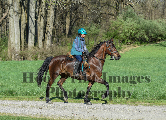 ChesapeakeSpring(4-18-21)0253