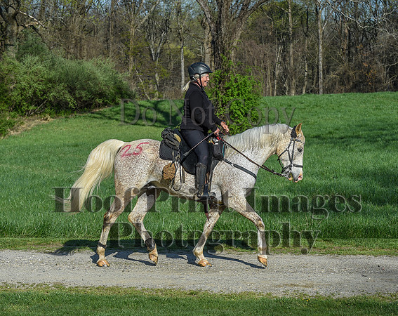 ChesapeakeSpring(4-18-21)0260