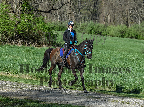ChesapeakeSpring(4-18-21)0271