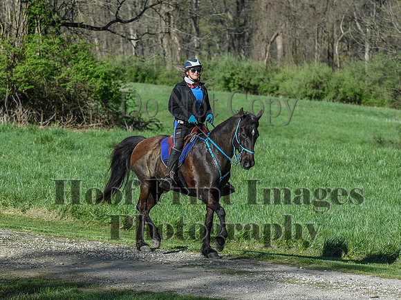 ChesapeakeSpring(4-18-21)0272