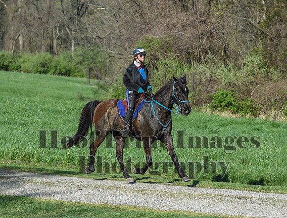 ChesapeakeSpring(4-18-21)0273