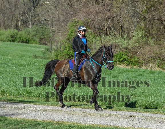 ChesapeakeSpring(4-18-21)0274