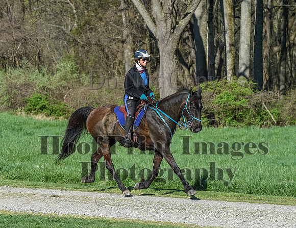 ChesapeakeSpring(4-18-21)0275