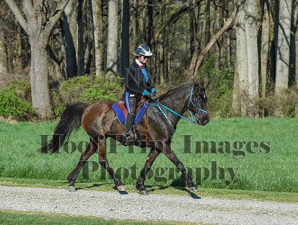 ChesapeakeSpring(4-18-21)0276