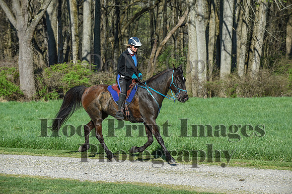 ChesapeakeSpring(4-18-21)0277