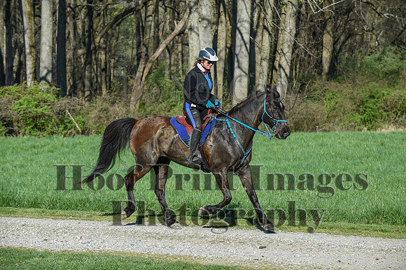 ChesapeakeSpring(4-18-21)0280
