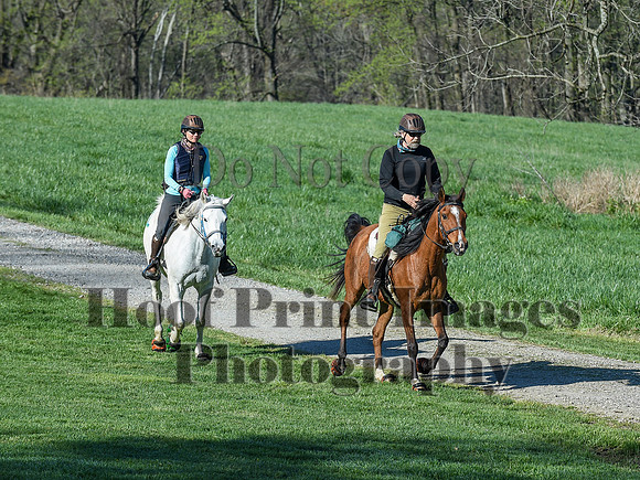 ChesapeakeSpring(4-18-21)0293