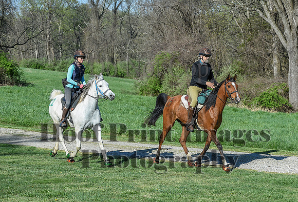 ChesapeakeSpring(4-18-21)0296