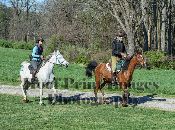 ChesapeakeSpring(4-18-21)0298