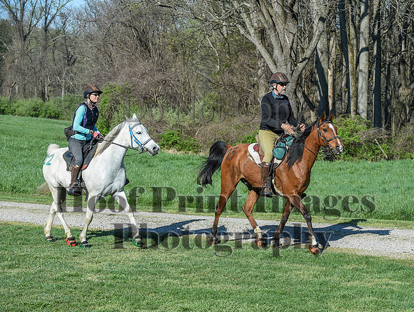 ChesapeakeSpring(4-18-21)0299
