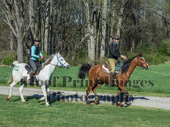 ChesapeakeSpring(4-18-21)0300