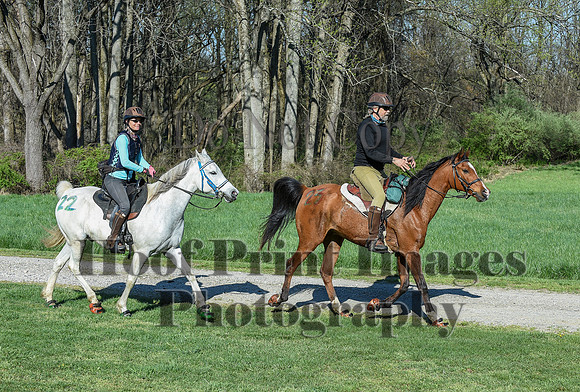ChesapeakeSpring(4-18-21)0302