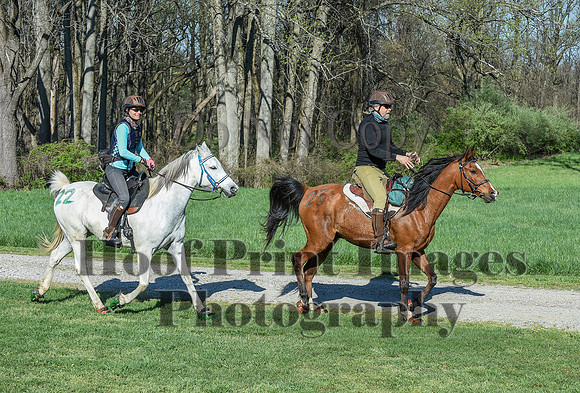 ChesapeakeSpring(4-18-21)0303