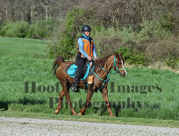 ChesapeakeSpring(4-18-21)0307