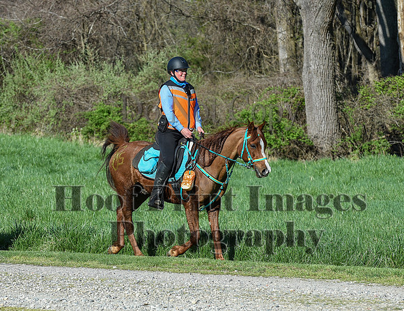ChesapeakeSpring(4-18-21)0308