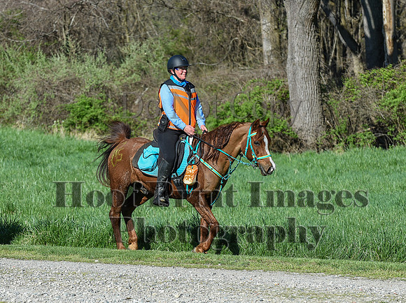 ChesapeakeSpring(4-18-21)0309