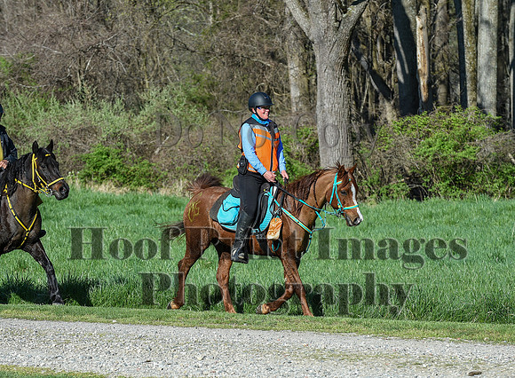 ChesapeakeSpring(4-18-21)0310