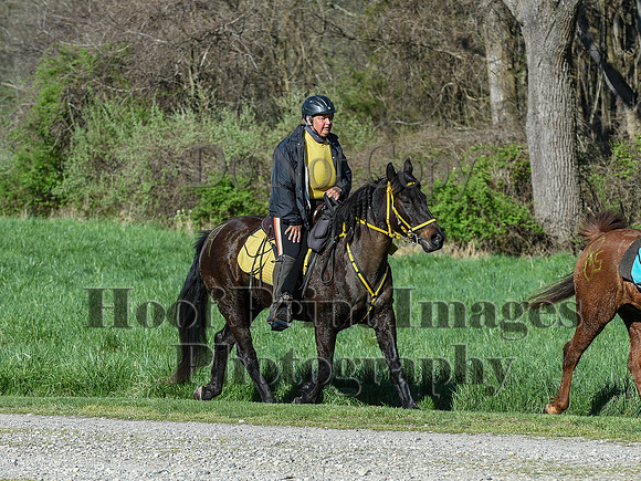ChesapeakeSpring(4-18-21)0311
