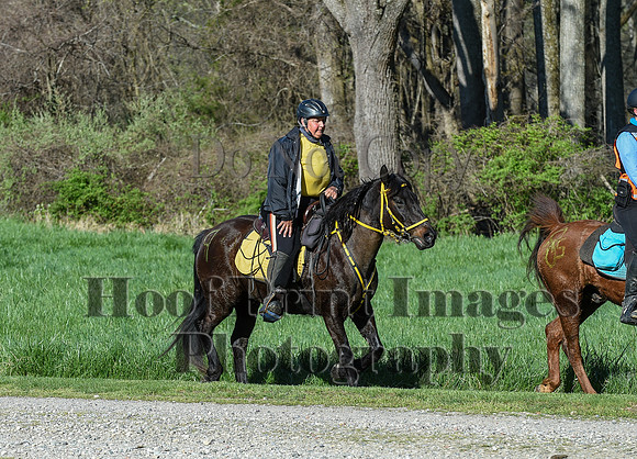 ChesapeakeSpring(4-18-21)0313
