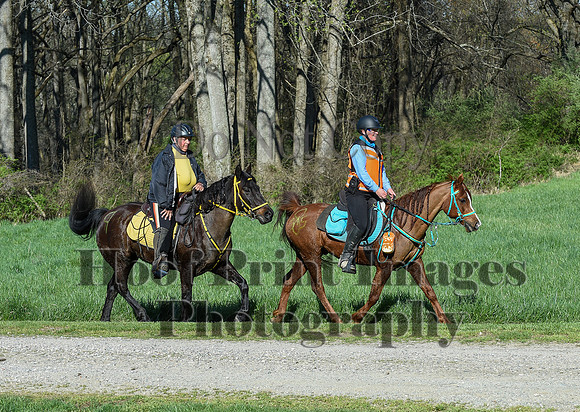 ChesapeakeSpring(4-18-21)0315