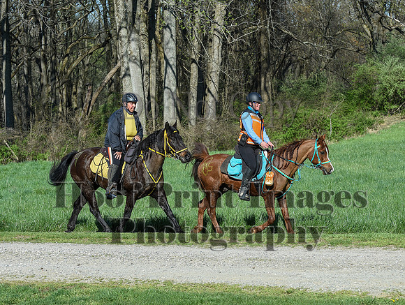 ChesapeakeSpring(4-18-21)0316