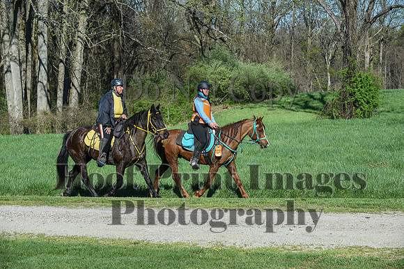 ChesapeakeSpring(4-18-21)0317