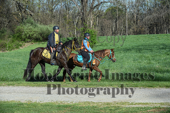 ChesapeakeSpring(4-18-21)0319