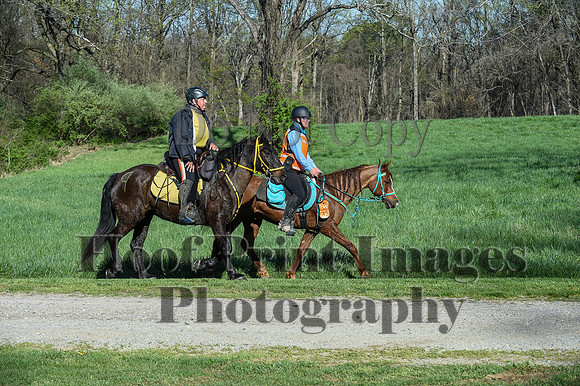 ChesapeakeSpring(4-18-21)0320