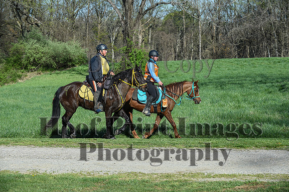 ChesapeakeSpring(4-18-21)0321