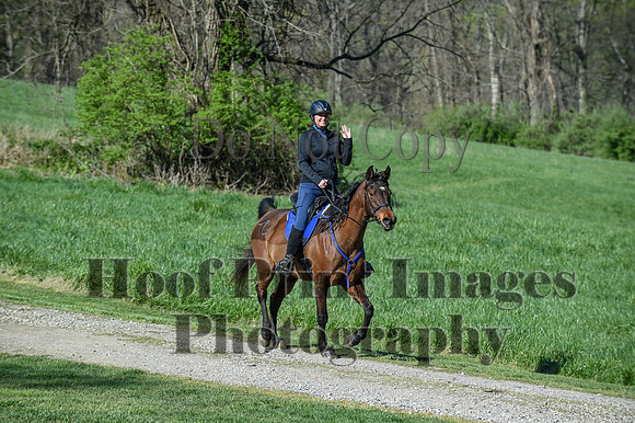 ChesapeakeSpring(4-18-21)0350